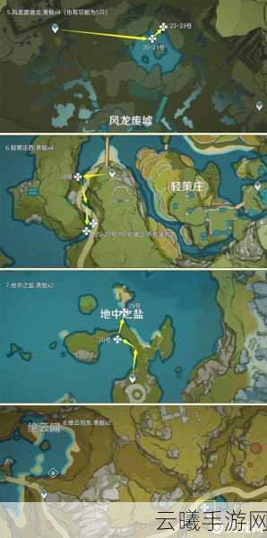 原神探秘指南，风龙废墟特殊宝藏位置全攻略及趣味玩法揭秘