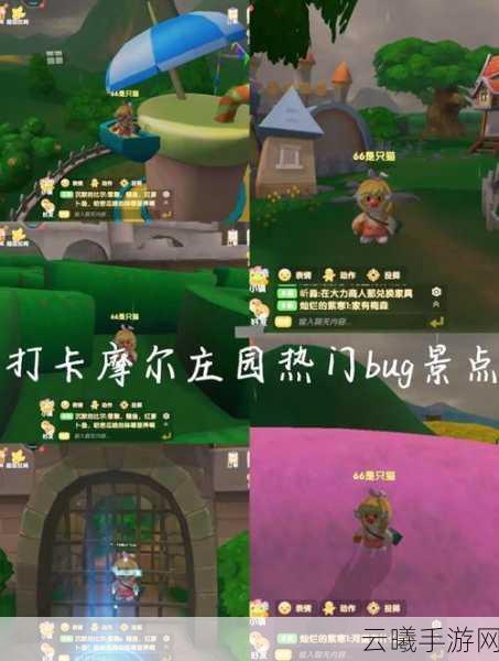 摩尔庄园手游深度解析,游戏小屋寻觅之旅与趣味玩法大揭秘