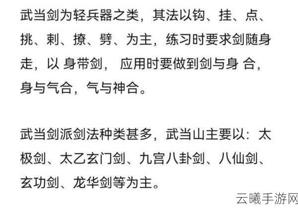 大唐无双论剑大会深度玩法解析,剑指江湖,谁与争锋?