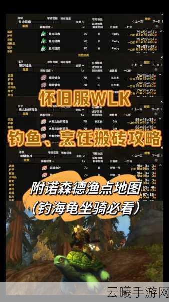 魔兽世界怀旧服WLK诺森德升级全攻略，解锁诺森德快速升级的秘密