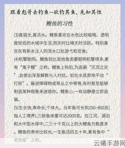 创造与魔法手游资讯,揭秘绿鲤鱼的神奇用途与趣味玩法