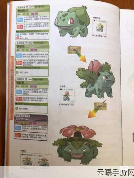 精灵宝可梦剑盾御三家主要性格属性及趣味玩法详解