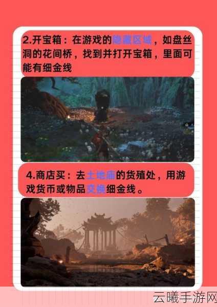 黑神话,悟空细金线详细获取指南及游戏个性化设置与优化全攻略