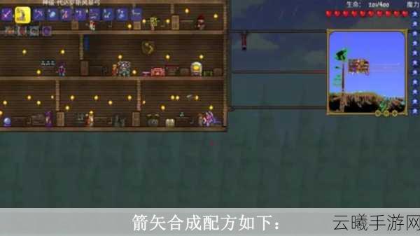 泰拉瑞亚小丑箭全面解析，无限穿透的神奇箭矢