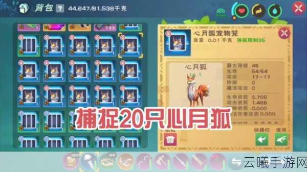 创造与魔法手游资讯，探索宠物喂养新乐趣，解锁奇幻世界无限可能