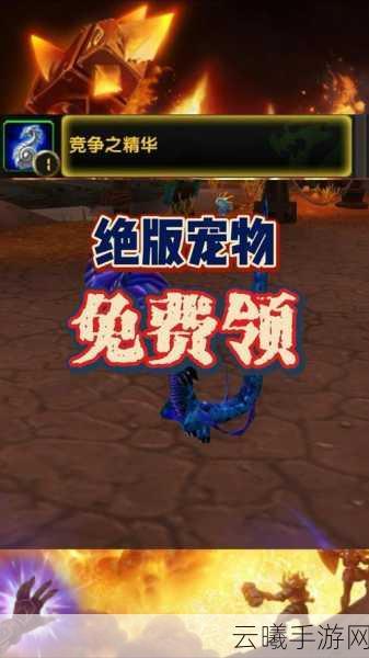 魔兽世界手游版精英宠物无法升级之谜，探索独特养成新玩法