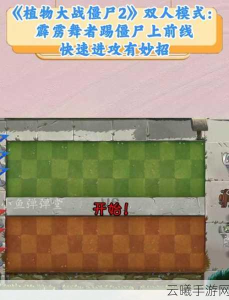 植物大战僵尸双人模式技能使用全攻略，携手抵御僵尸入侵的趣味新体验