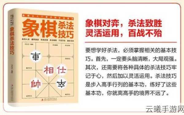 象棋大师之路，掌握棋谱秘籍，开启智慧对决新篇章