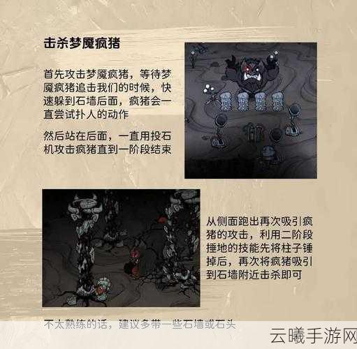 饥荒新家园浣熊世界声望系统深度解析及趣味玩法介绍