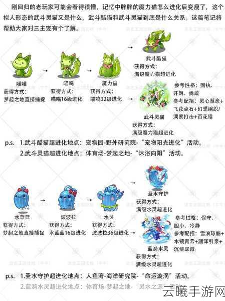 洛克王国手游攻略,揭秘如何一天打造一个100级角色