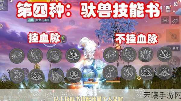 妄想山海点墨技能详解，深度剖析技能魅力与实战策略，探索奇幻世界的无限可能