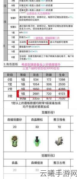 白夜极光光灵支援箱选择策略，深度剖析资源管理艺术与技巧，解锁趣味玩法新境界