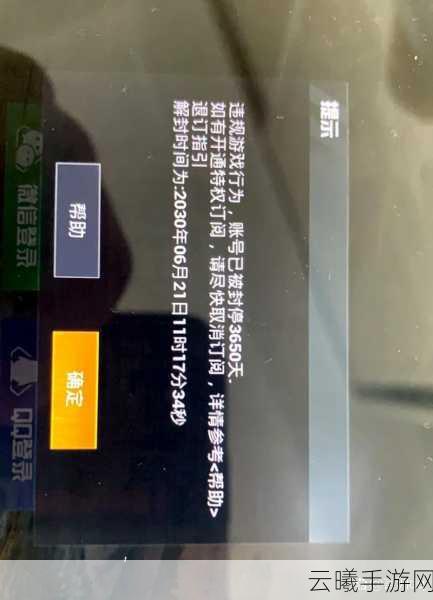 探讨12315投诉和平精英封号问题，有效性与游戏魅力并存