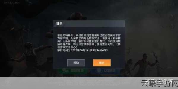 探讨12315投诉和平精英封号问题,有效性与游戏魅力并存