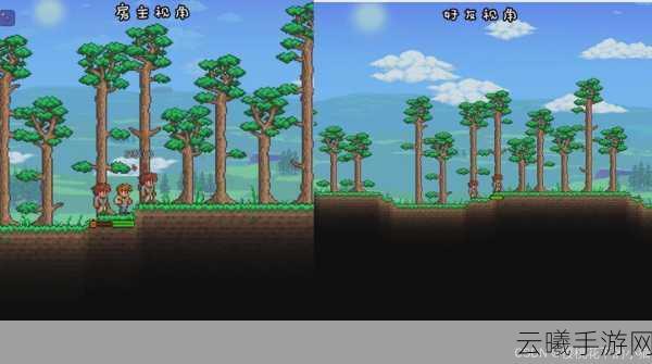 泰拉瑞亚Steam联机全攻略，探索无限可能的沙盒世界