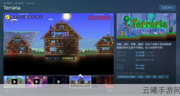 泰拉瑞亚Steam联机全攻略,探索无限可能的沙盒世界