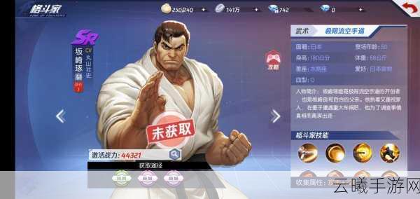 拳皇回合手游,解锁格斗新境界,这些特色玩法你绝不能错过!
