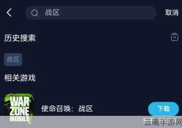 使命召唤手游黑屏闪退问题全解析及趣味玩法探索