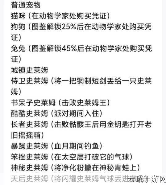 泰拉瑞亚手游资讯，揭秘神庙砖的挖掘技巧与趣味玩法