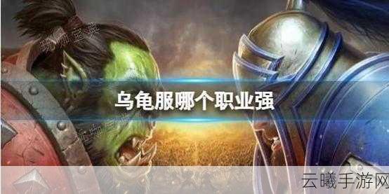 魔兽世界乌龟服职业大比拼，谁才是最强王者？