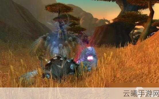魔兽世界手游化前瞻，德鲁伊变熊任务全攻略及趣味玩法揭秘