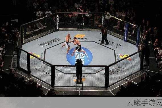 UFC终极格斗冠军VS ONE格斗精英，两大格斗赛事手游全面对决