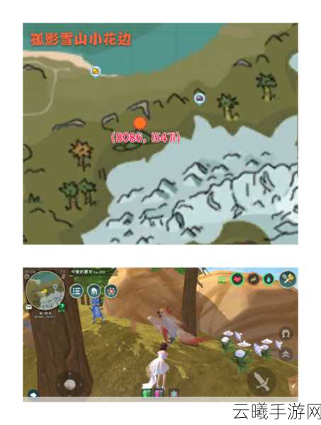 创造与魔法小鸟刷新时间与地点全攻略，探寻云斑鹦鸟的神秘踪迹