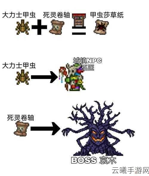 泰拉瑞亚召唤师毕业首饰大全及趣味玩法详解