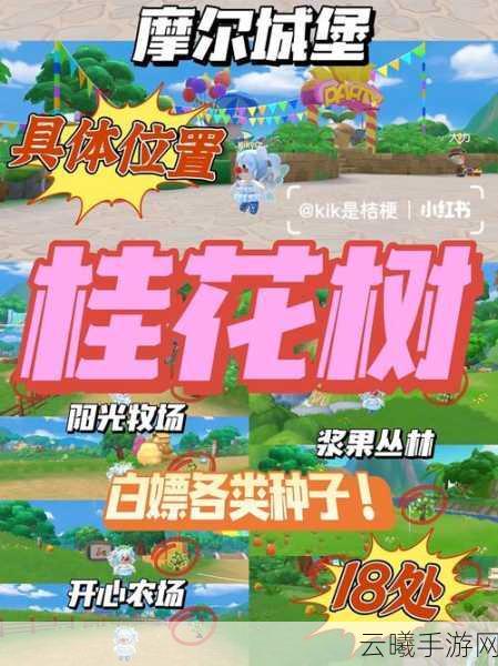 摩尔庄园手游资讯,揭秘七色花获取攻略与趣味玩法大放送