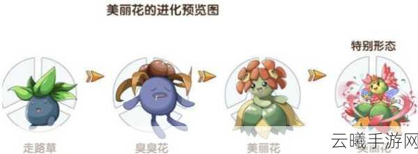 口袋妖怪,进化对决手游资讯——臭臭花进化之路,霸王花VS美丽花,战斗首选揭秘
