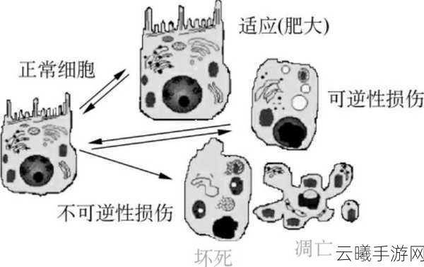 重生细胞狂战士变异图纸获取攻略及趣味玩法介绍