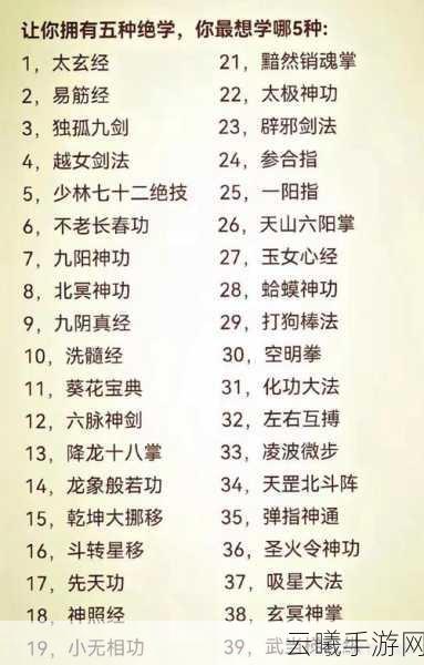金庸群侠传5九阳神功深度解析，武林绝学，等你征服！