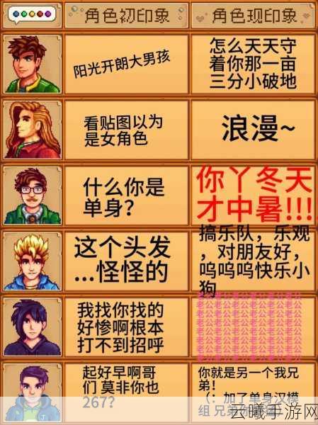 星露谷物语深度探索，寻觅真爱，揭秘最佳伴侣之选与趣味玩法