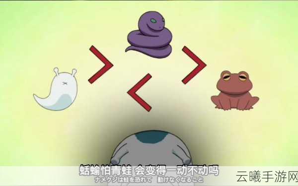 火影忍者手游蛤蟆文太玩法技巧深度解析与趣味探索指南