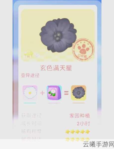摩尔庄园手游，探寻满天星花的奇妙之旅