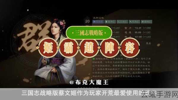 三国志战略版蔡文姬张飞周泰T0阵容搭配全攻略，打造最强开荒战队！