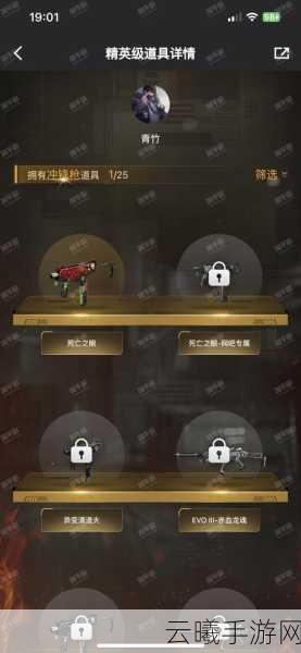 CF手游沙漠玫瑰角色全面解析，获取秘籍与实战技巧大揭秘