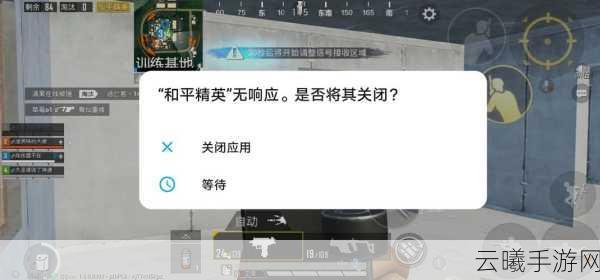 华为手机和平精英无法开麦问题全解析及趣味玩法探索