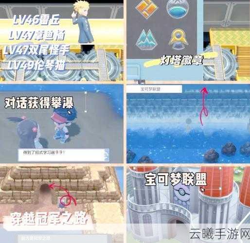 口袋妖怪珍珠，解锁全国图鉴，开启二周目冒险之旅