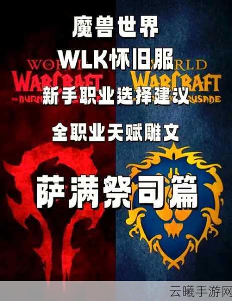 魔兽世界手游版，WLK阿尔法挑战惊现神操作，T没拉住怪竟反手T治疗？