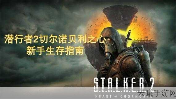 潜行者2切尔诺贝利之心全新休克疗法支线任务高效通关秘籍大揭秘
