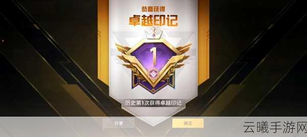 和平精英等级提升全攻略，解锁高阶玩法，成就吃鸡大神