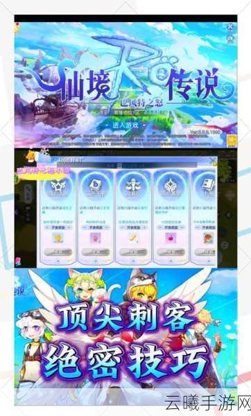 仙境传说RO,永恒的爱手游刺客怎么玩?新手刺客加点练级全养成指南