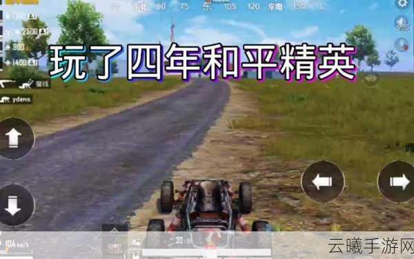 和平精英一小时流量消耗详解及趣味玩法介绍