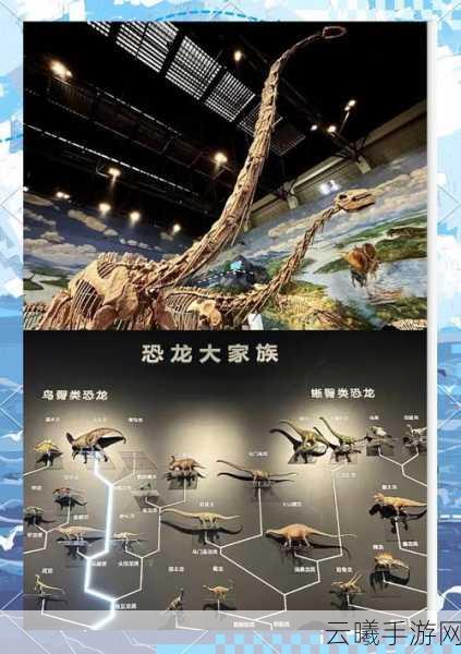 球球大作战极品光环解锁顺序全揭秘，探索无限乐趣的奇妙之旅