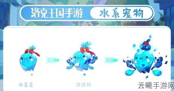 洛克王国芙蓉花印章的奇妙用途与游戏深度玩法揭秘