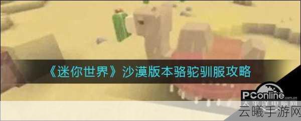 迷你世界手游资讯，揭秘骆驼驯服技巧与趣味玩法