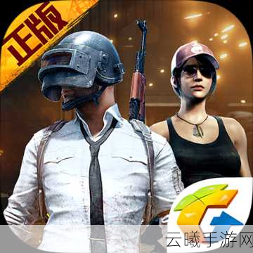 绝地求生刺激战场术语全解析与资源管理高效策略揭秘，探索无限乐趣！