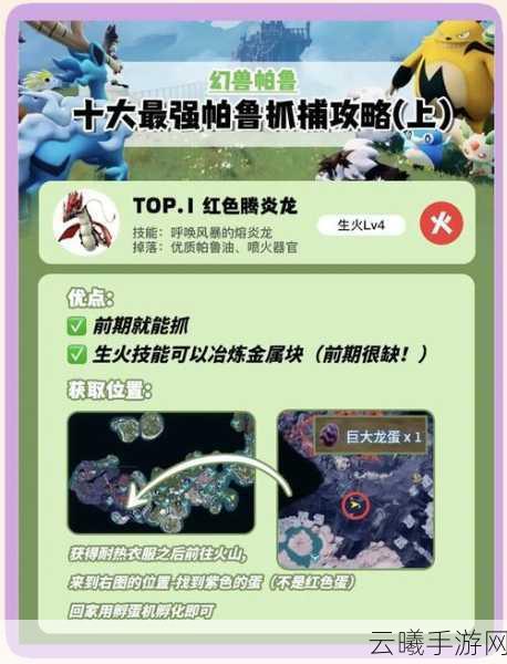 幻兽帕鲁羊毛生产攻略，打造你的梦幻牧场王国