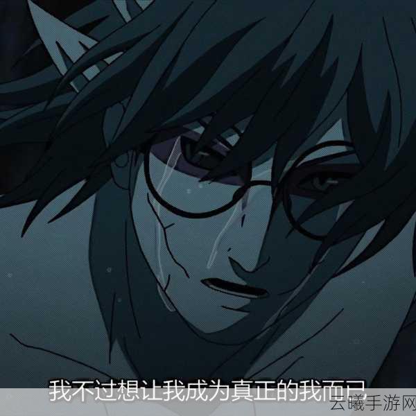 火影忍者手游，揭秘仙人兜黑夜模式的切换与趣味玩法